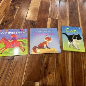 Lot of 3 Usborne cats, draw people, and fox on a box